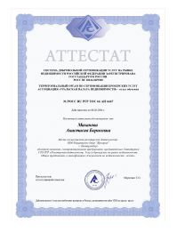 Аттестат_page-0001