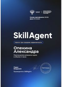 Снимок2