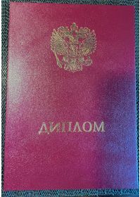 Диплом 1
