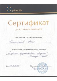 golden life_page-0001