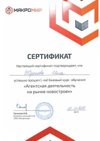 новостройка курс 8.11.19